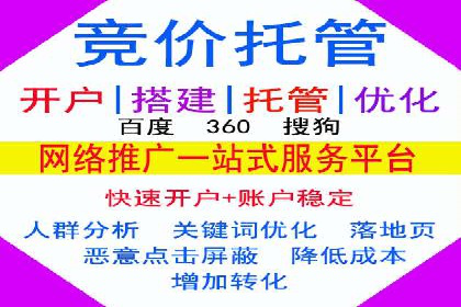 汽车行业SEM运营托管的典型案例分析